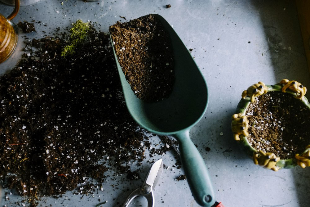 The weekend garden toolkit